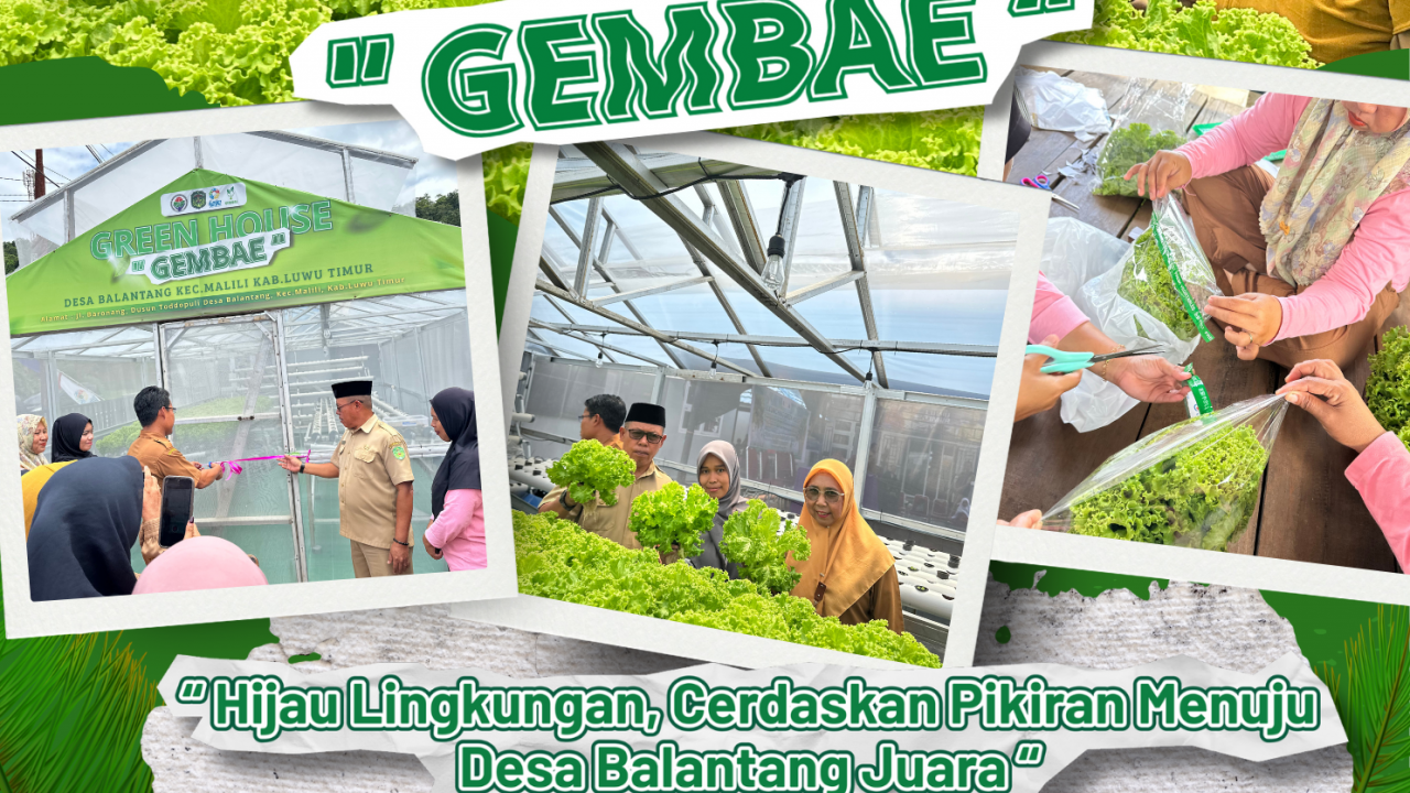 launching green house di rangkaikan dengan sosialisasi minat baca dan pemberian bantuan stunting