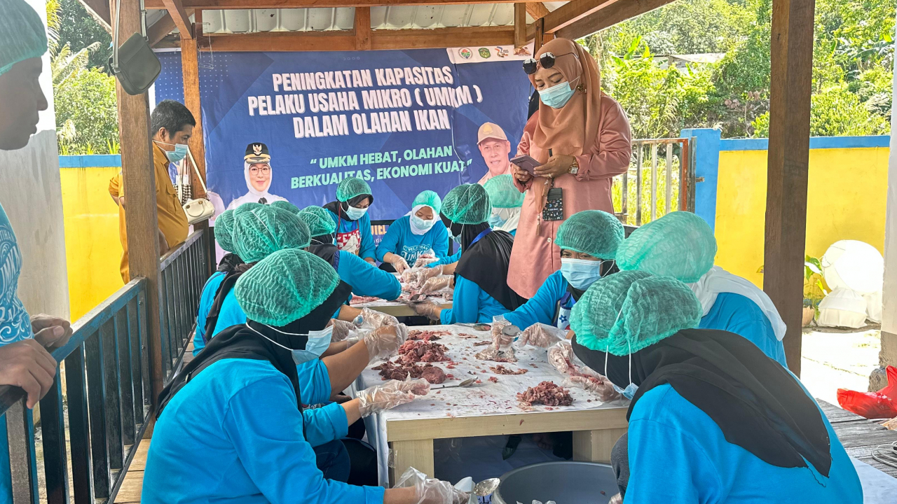 PENINGKATAN KAPASITAS PELAKU USAHA MIKRO ( UMKM ) DALAM OLAHAN IKAN