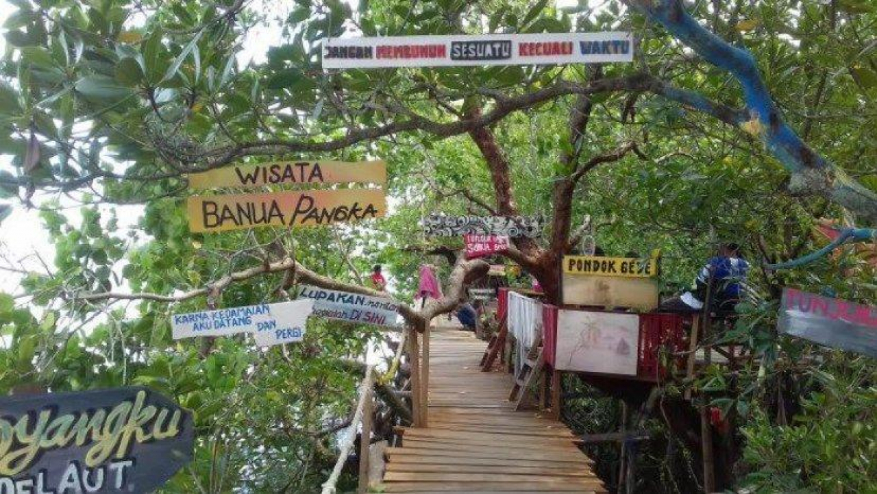 Mangrove