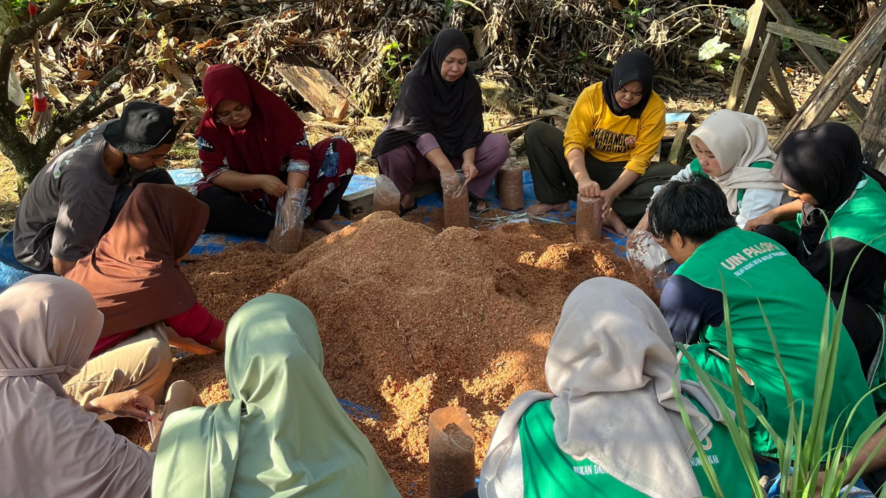 Pelatihan Budidaya Jamur Tiram Mendorong Peningkatan Ekonomi di Desa Asana, Luwu Timur