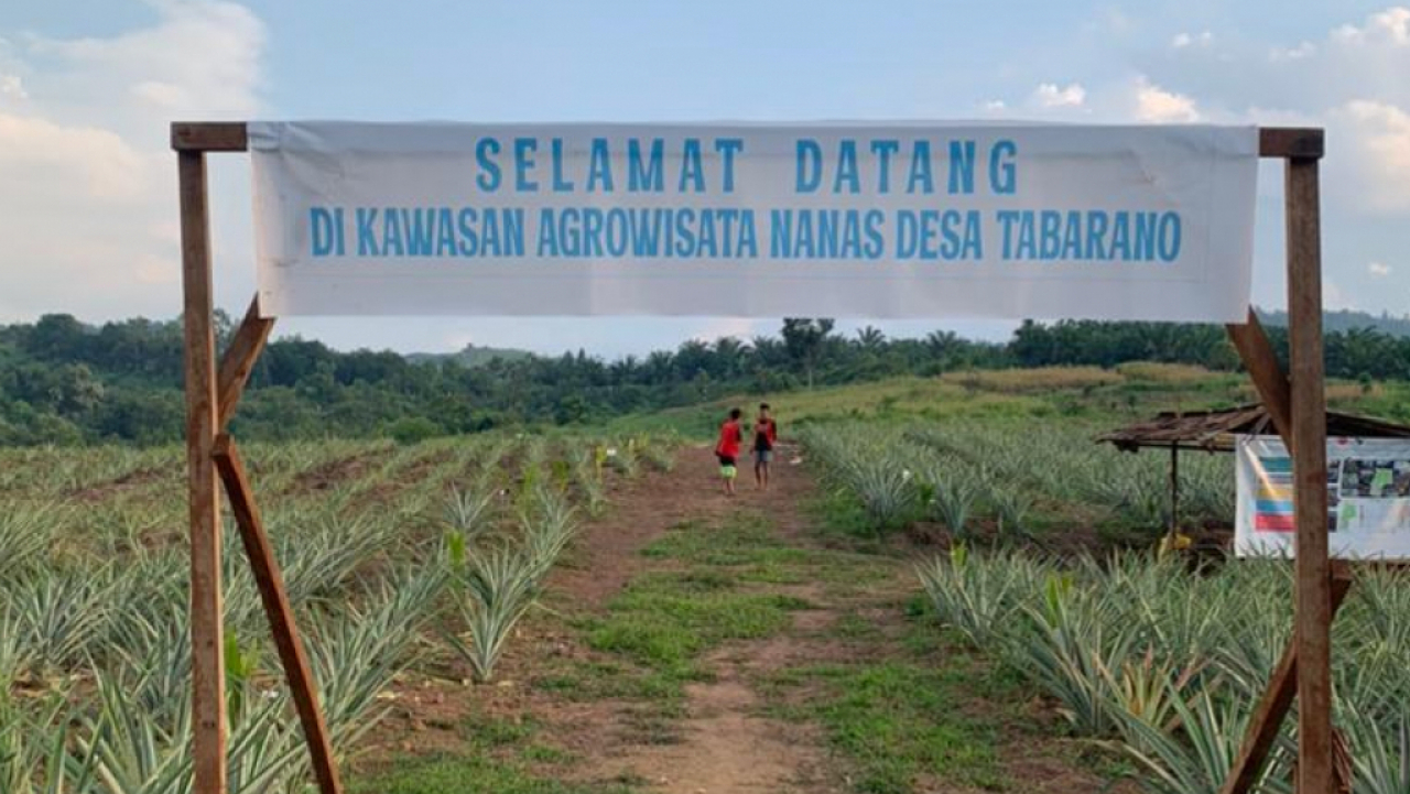 Sejarah Agrowisata Ponda'Ta Desa Tabarano