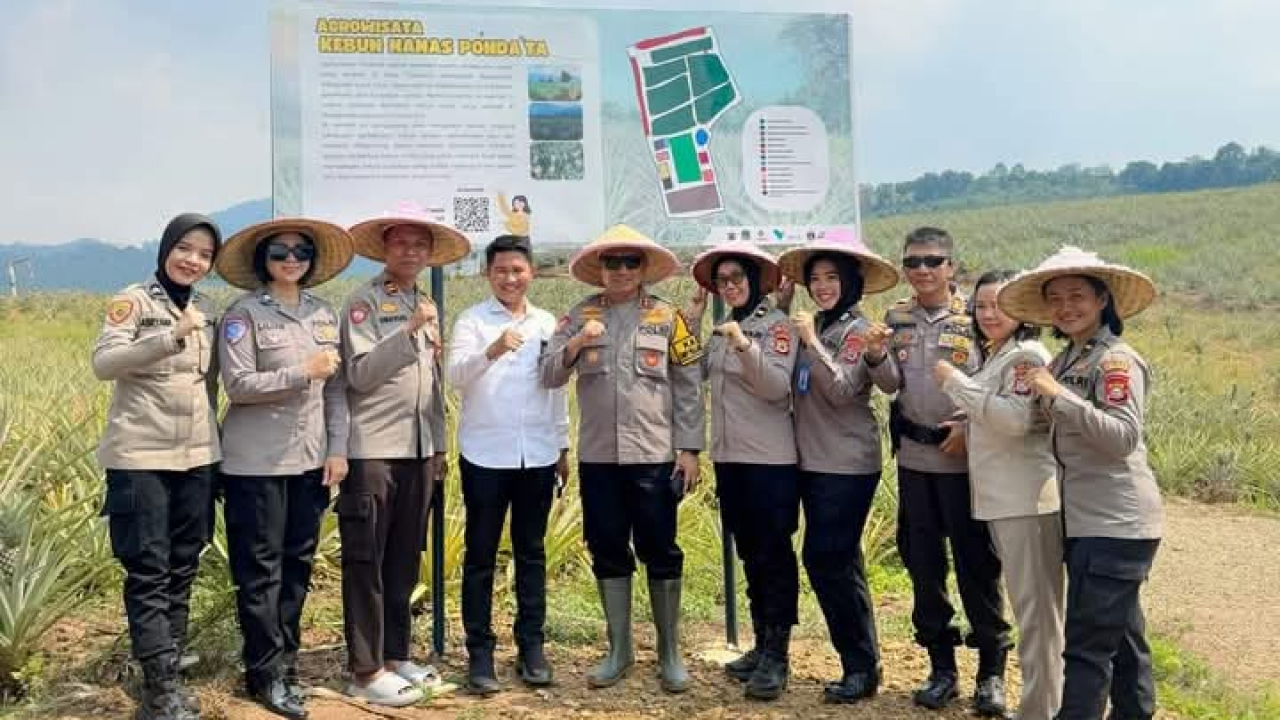 KUNJUNGAN BAPAK KAPOLRES LUWU TIMUR BERSAMA DENGAN PARA JAJARANNYA DI PERKEBUNAN NENAS DESA TABARANO
