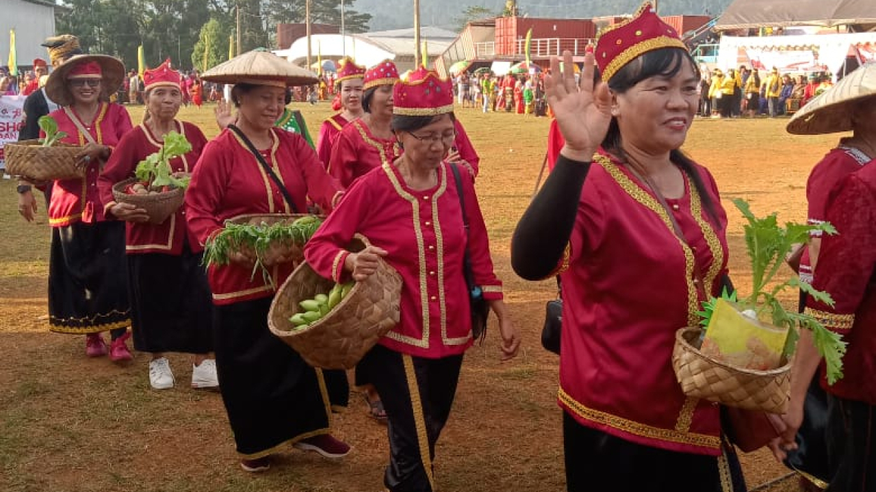 Pagelaran Adat Padoe (KARNAVAL BUDAYA) Jadi Momentum Perkuat Identitas Budaya di Lutim