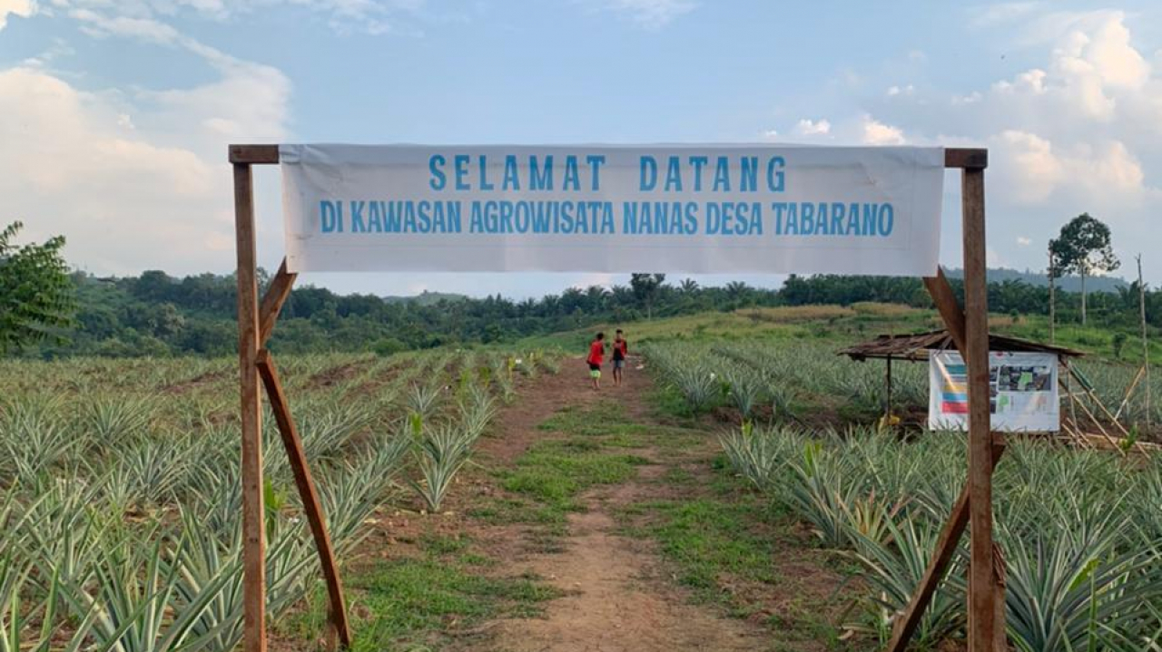 AGROWISATA PONDA’TA DESA TABARANO
