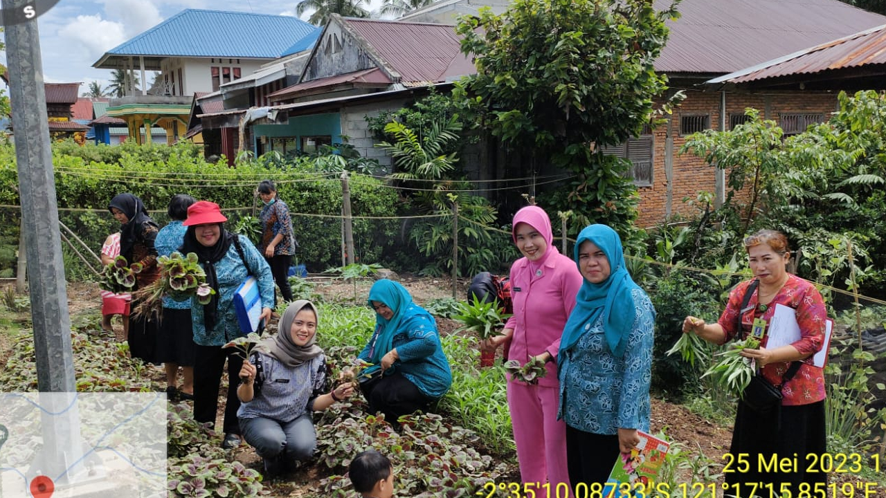 BUDIDAYA SAYURAN/TANAMAN ORGANIK  DALAM MEMBANGUN DESA  MENUMBUHKAN SEMBILAN  NILAI ANTI KORUPSI DI DESA TABARANO