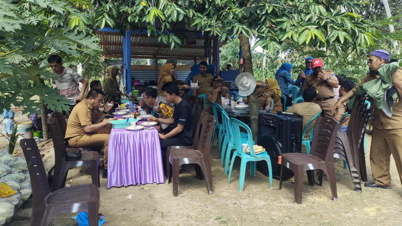 Panen Jagung