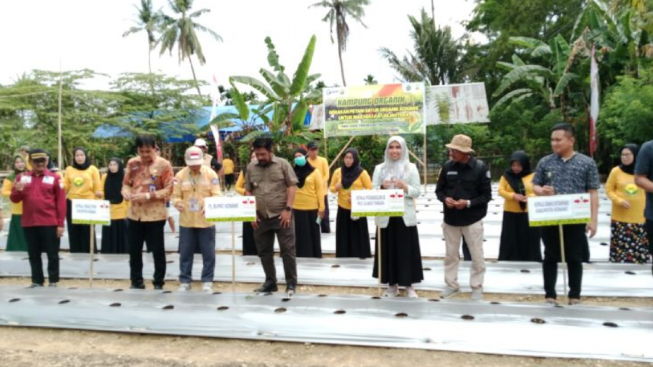 Pj Bupati Konawe Apresiasi Kampung Organik di Kelurahan Asinua