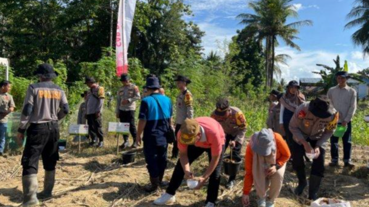 Polres Bersama Pemda Konawe Tanam 50 Ribu Benih Jagung di Desa Nario Indah Dukung Swasembada Pangan