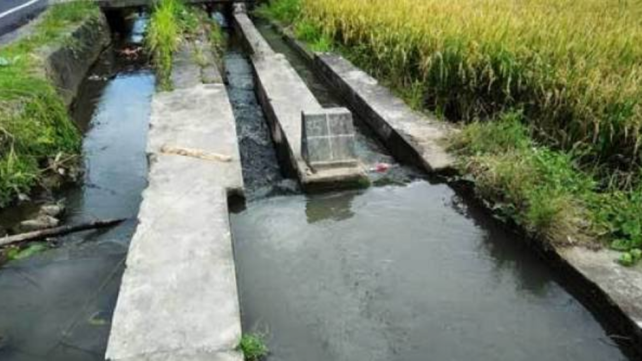 Swasembada Pangan, Pemda Konawe Lakukan Rehabilitasi dan Pemeliharaan Irigasi