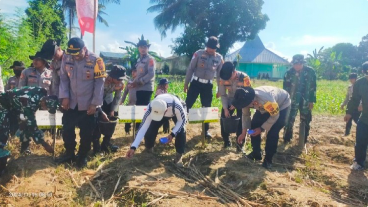 Polres Konawe Gelar Penanaman Benih Jagung untuk Mendukung Swasembada Pangan Nasional