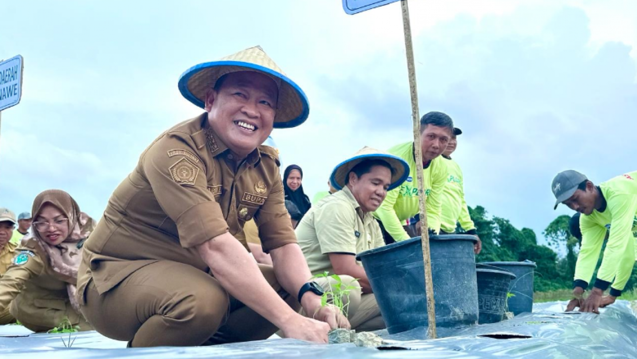 Dikenal Sebagai Surga Holtikultura, Pj Bupati Bersama Pejabat Konawe Panen Raya di Nario Indah