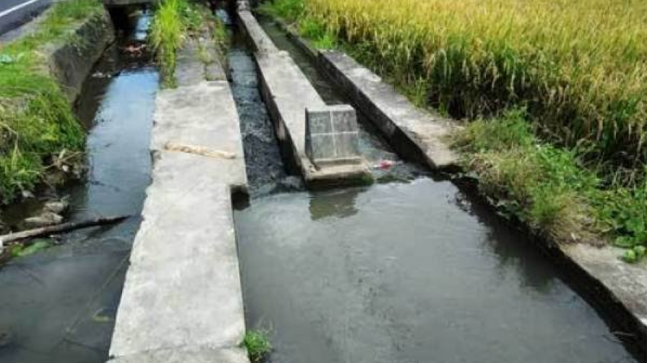 Swasembada Pangan, Pemda Konawe Lakukan Rehabilitasi dan Pemeliharaan Irigasi