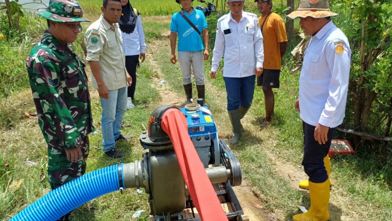 Petani Puriala Antusias Sambut Musim Tanam Padi Kedua