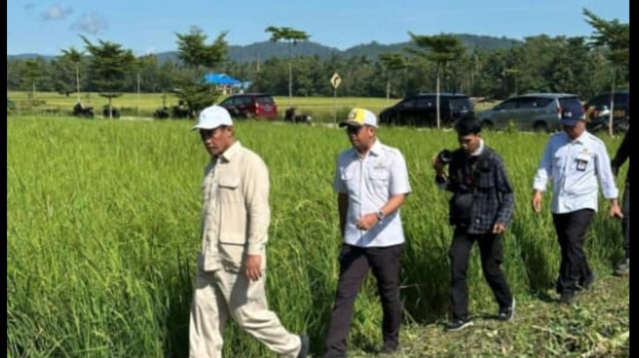 Mentan Amran Menelusuri Jaringan Irigasi di Konawe Demi Swasembada