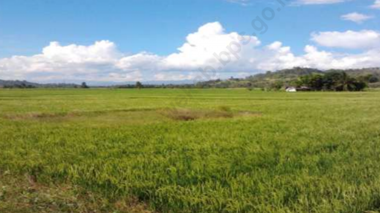 Potensi Pangan dan perkebunan