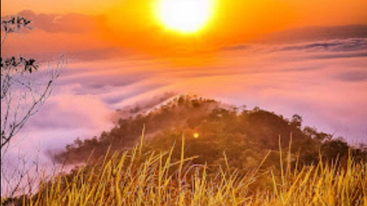 Puncak savana