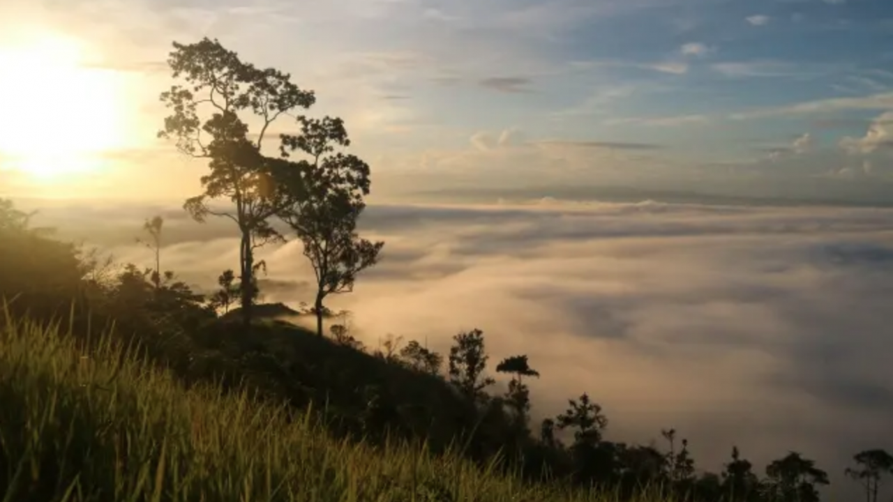 Puncak Ahuawali