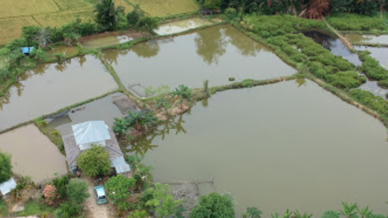 Kompleks Gunung Putih