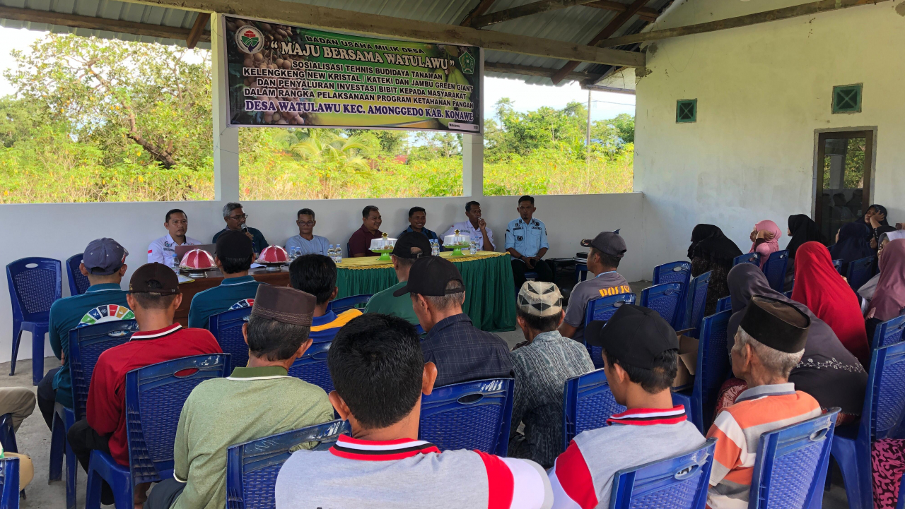 Bumdes Maju Bersama Gelar Sosialisasi Budidaya Kelengkeng dan Jambu: Dukung Ketahanan Pangan Desa Watulawu 2025