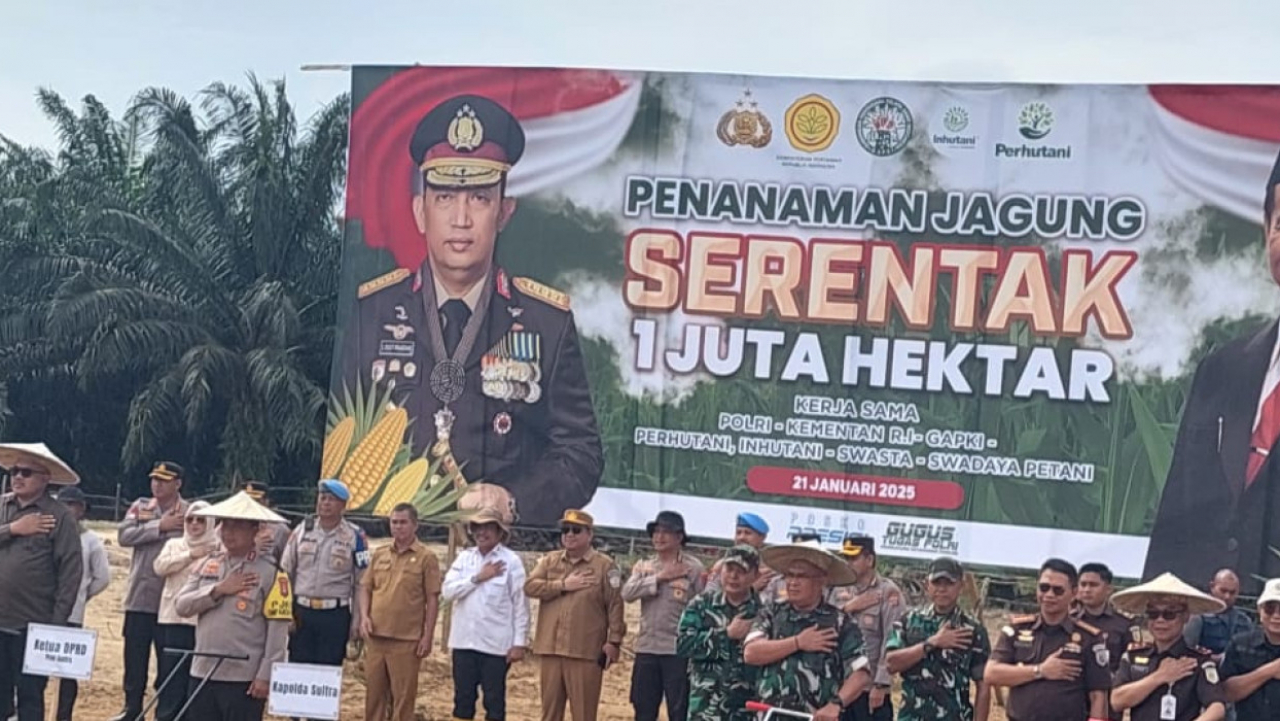 Penanaman Jagung 1 Juta Hektare Serentak di Sulawesi Tenggara