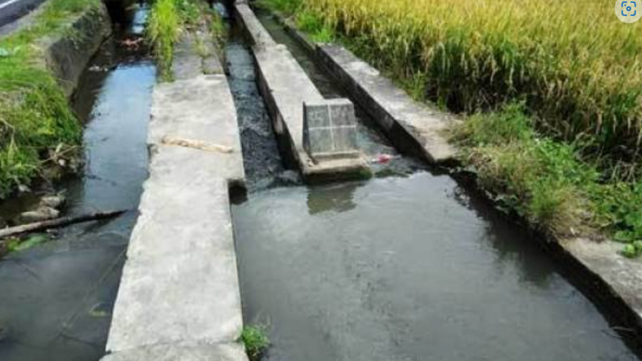 Swasembada Pangan, Pemda Konawe Lakukan Rehabilitasi dan Pemeliharaan Irigasi