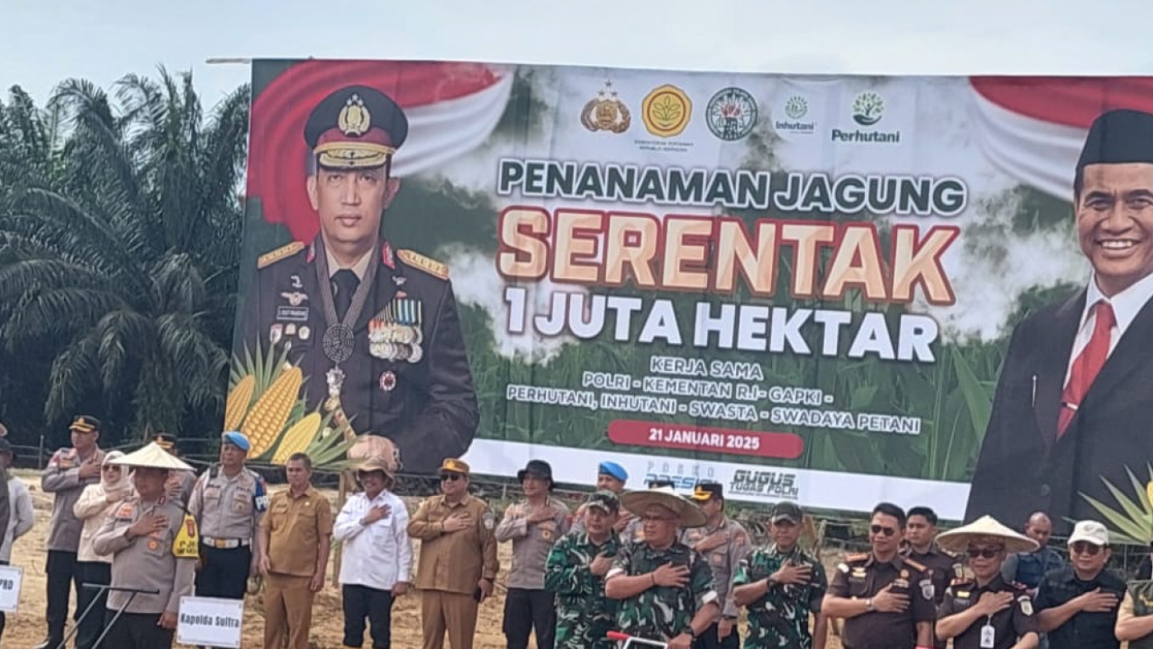 Penanaman Jagung 1 Juta Hektare Serentak di Sulawesi Tenggara