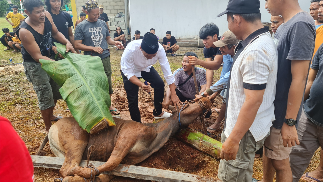 Pelaksanaan Ibadah Qurban Di Desa Mataiwoi