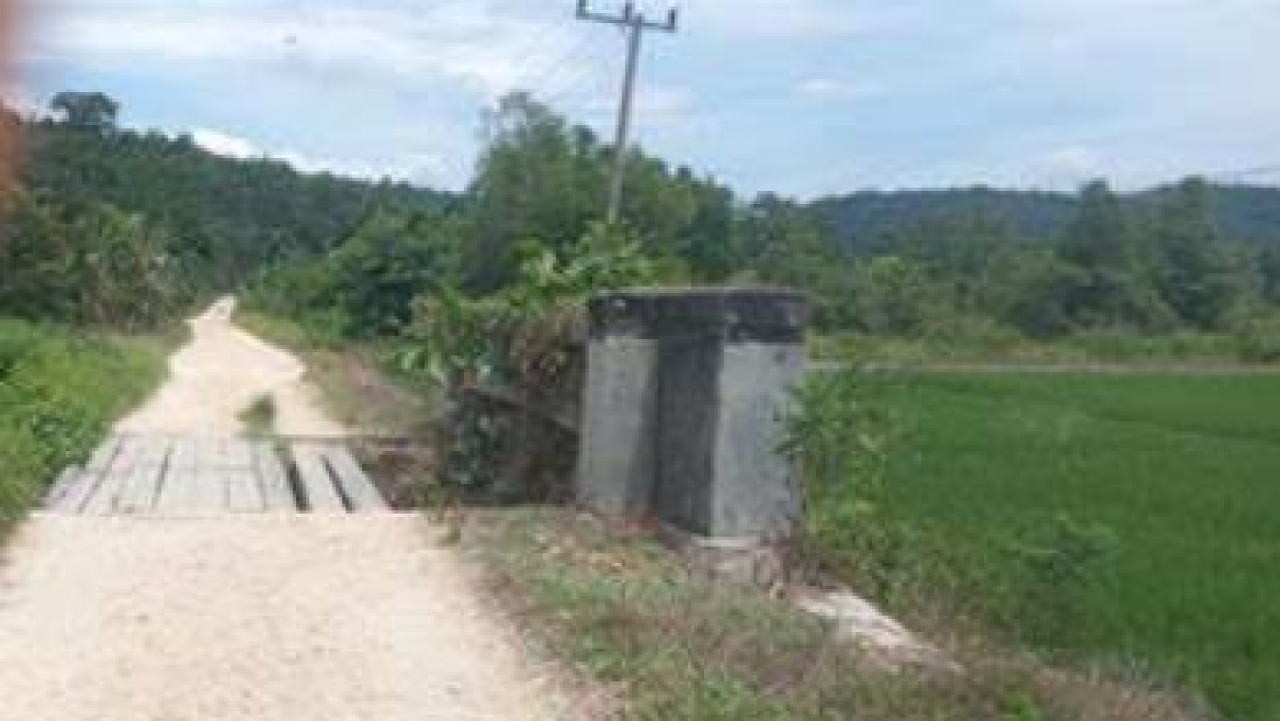 AKSES JALAN POROS DESA NEKUDU DAN AWUA SARI ADA 5 JEMBATAN HANYA BENTANGAN KAYU
