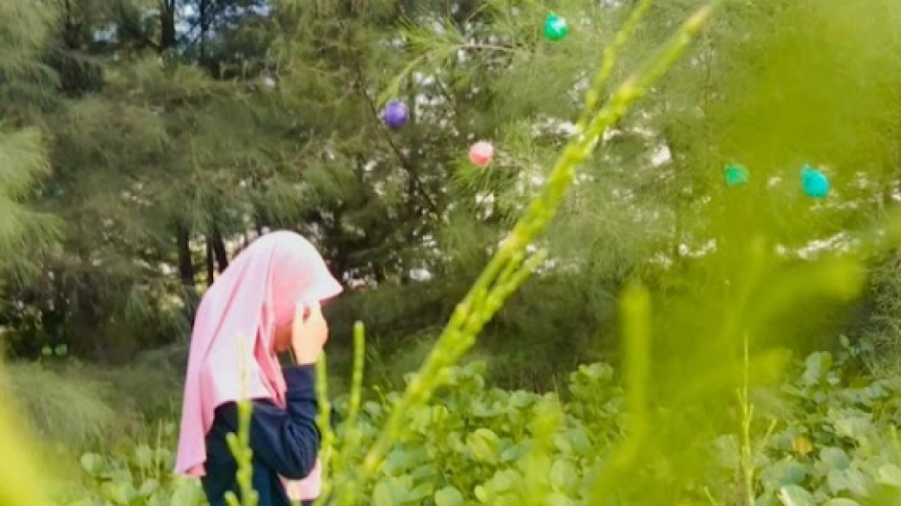 Wisata pantai alam cemara
