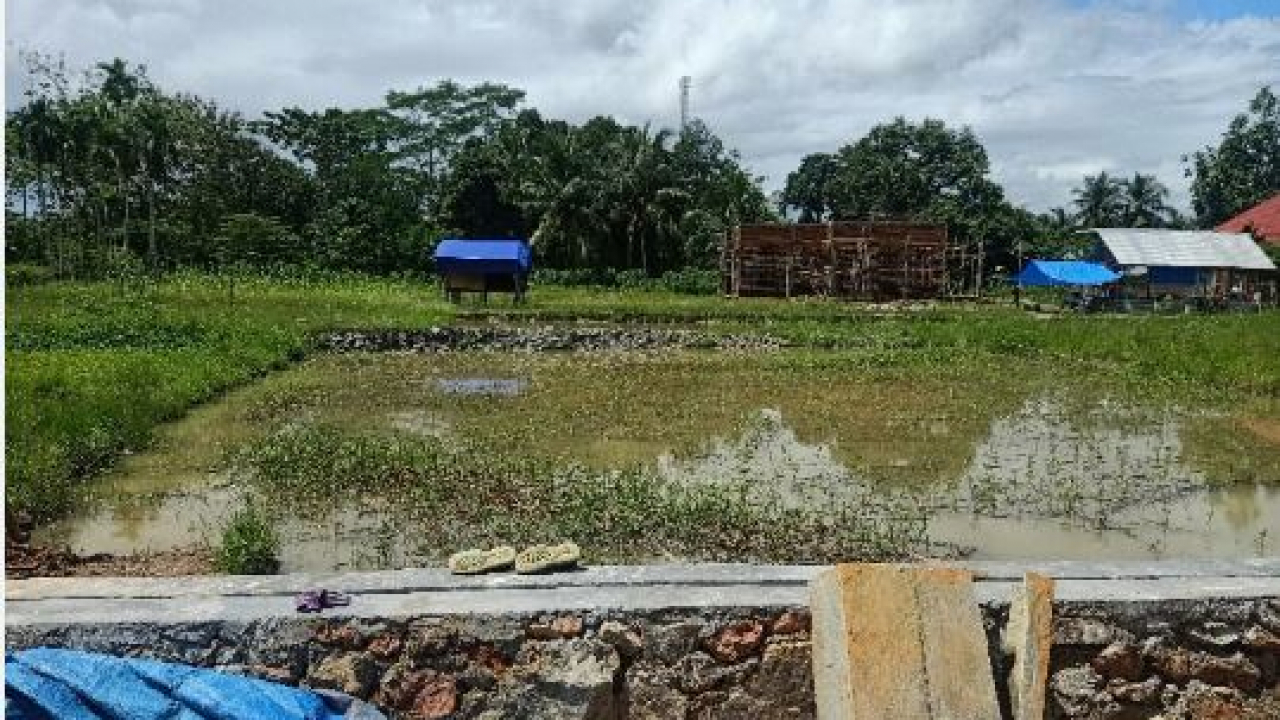 Pemancingan dan Kuliner