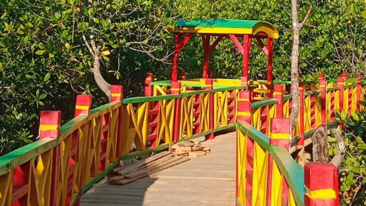 Wisata Mangrove Labone
