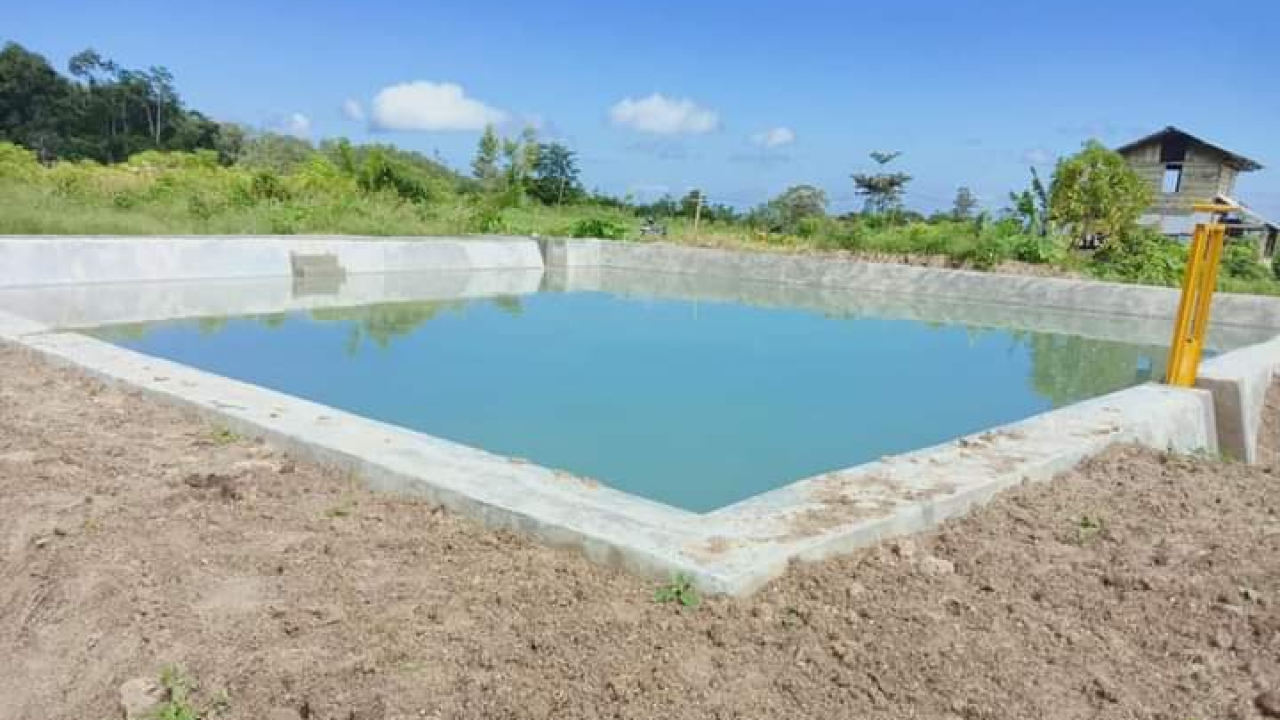 WISATA EMBUNG PERTANIAN