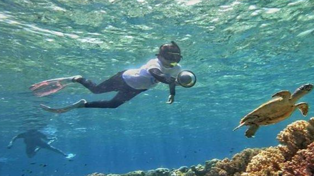 Kunjungi Pantai Hundue di Pulau Tomia Wakatobi Suguhkan Pemandangan Pasir Putih & Pesona Bawah Laut