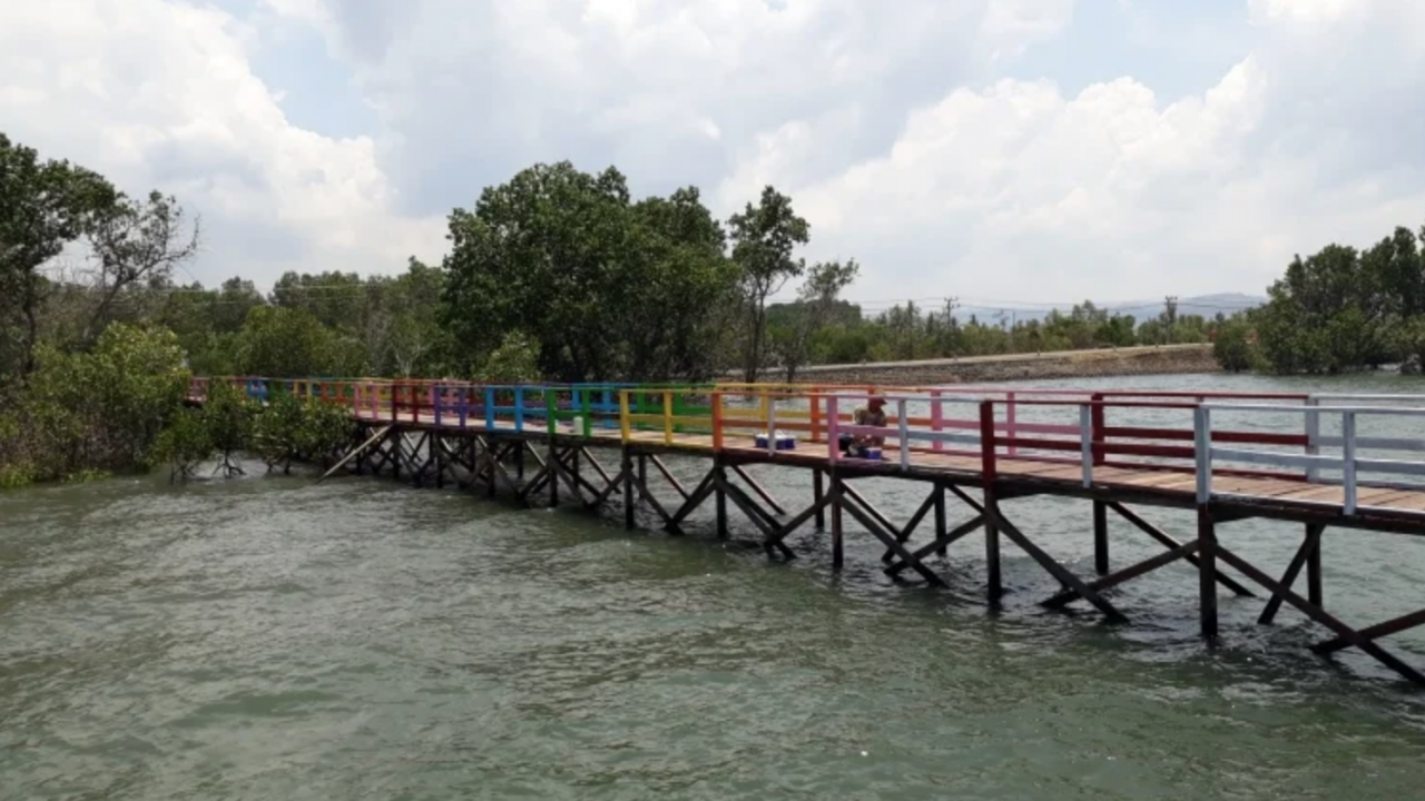 Wisata Taman Bakau Pantai Harapan