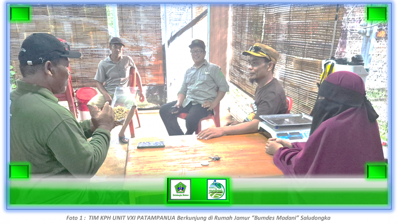 🍄 KPH Unit XVI Patampanua Selatan Kunjungi BUMDES Madani Saludongka, Soroti Potensi Jamur Tiram
