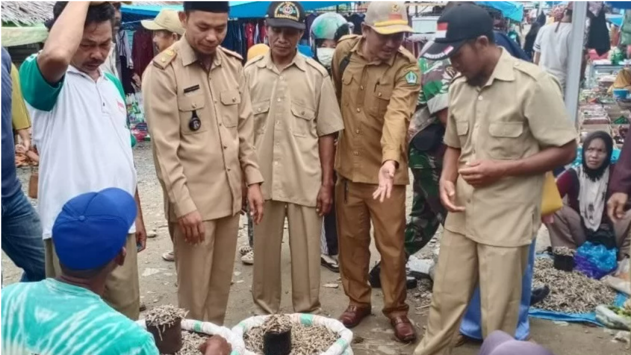 Ingin Wujudkan Pasar Yang Jujur dan Tertib, Ini Yang Dilakukan Kades Saludongka Isnandar Saat Sidak Pasar