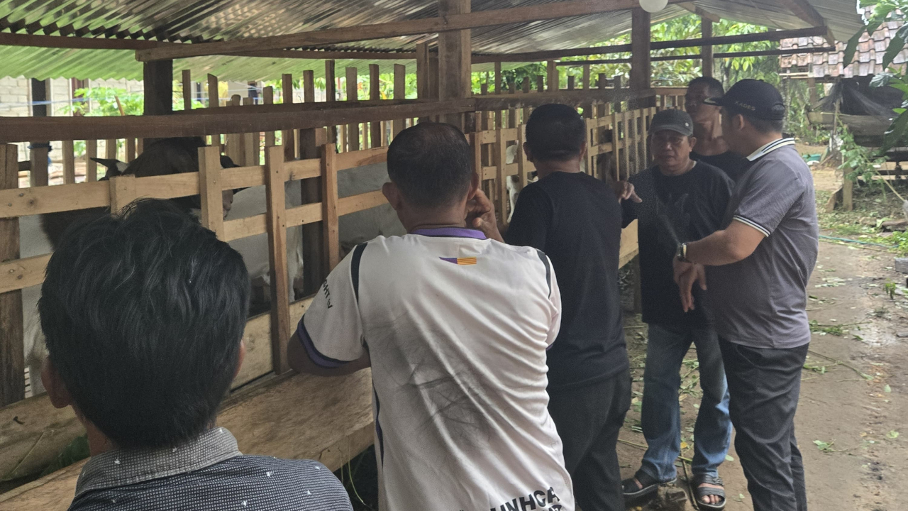 Studi Banding: BUMDes Bandaeha Pelajari Ternak Kambing