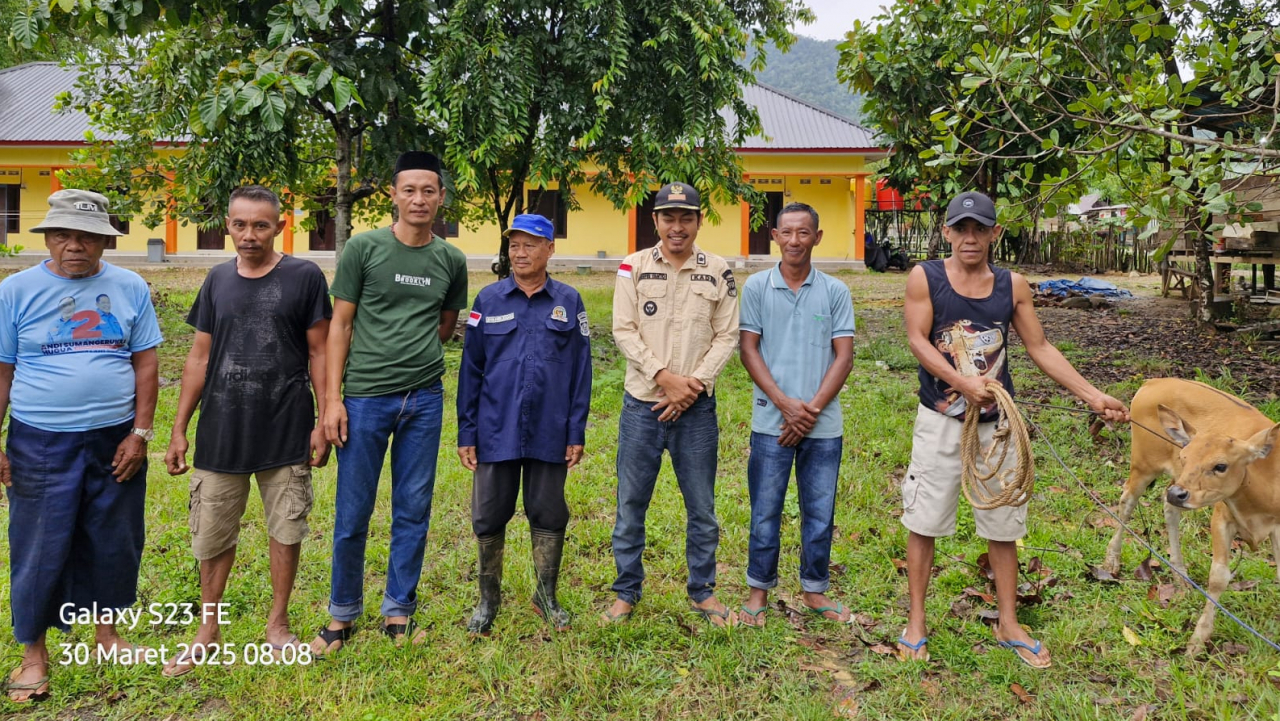 Program Penerimaan Bantuan Ternak Sapi Sebanyak 20 Ekor