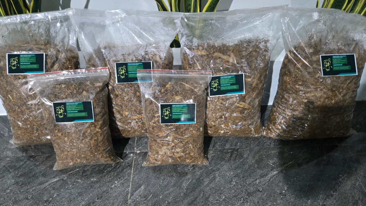 Emas Hijau dari Limbah Jagung Desa Tambakua