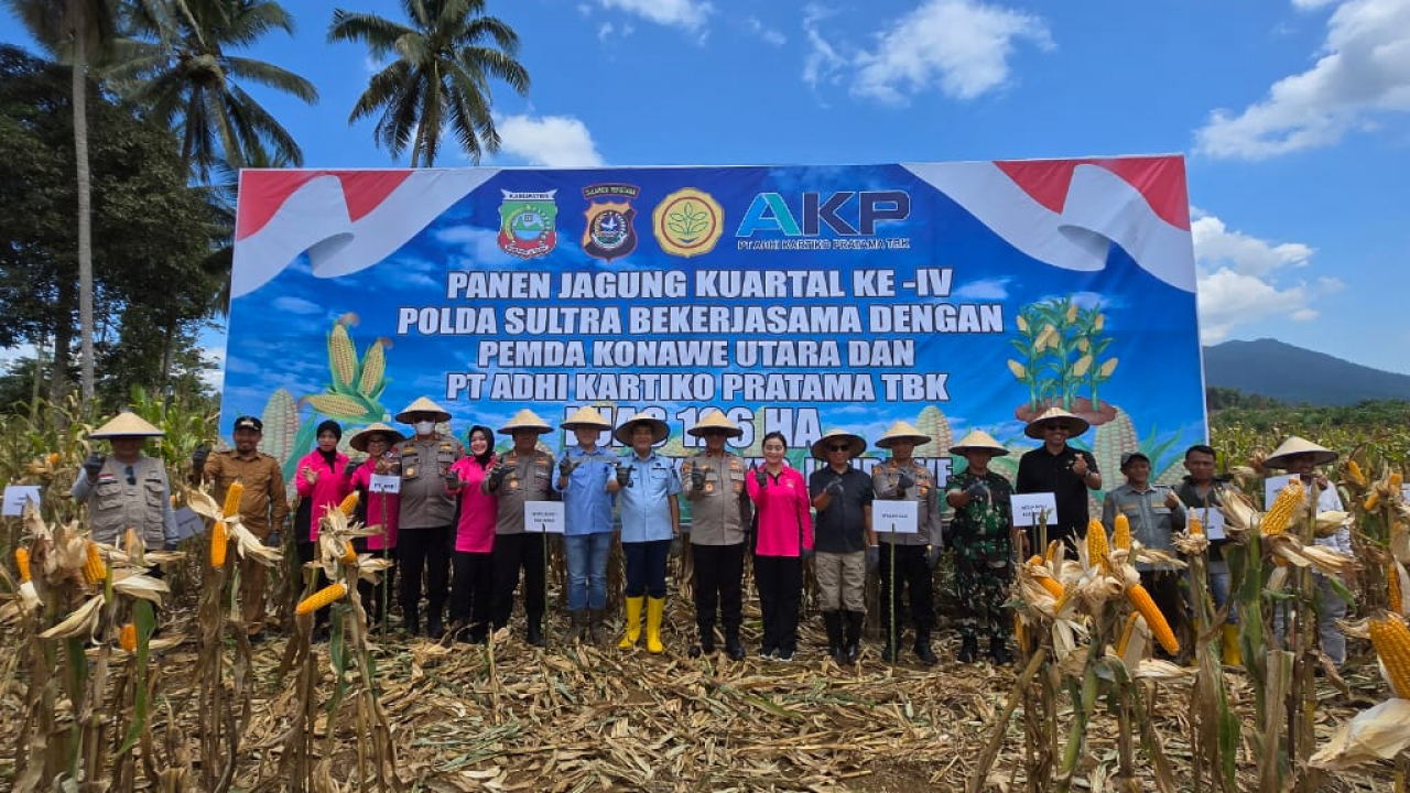 Dukung Ketahanan Pangan, Polda Sultra Gelar Panen Raya Jagung di Konawe Utara