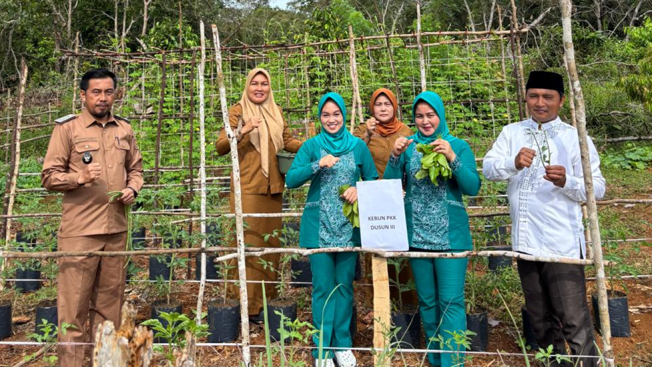 Perkuat Ketahanan Pangan Keluarga, PKK Desa Tambakua Sukses Panen Sayur Mayur Di Kebun Dusun III