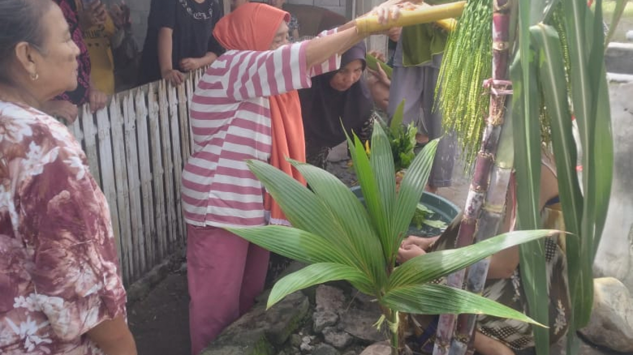 Pelaksanaan Budaya mopolihu lolimo (Mandi Lemon) di Desa Teratai, Kecamatan Tabongo