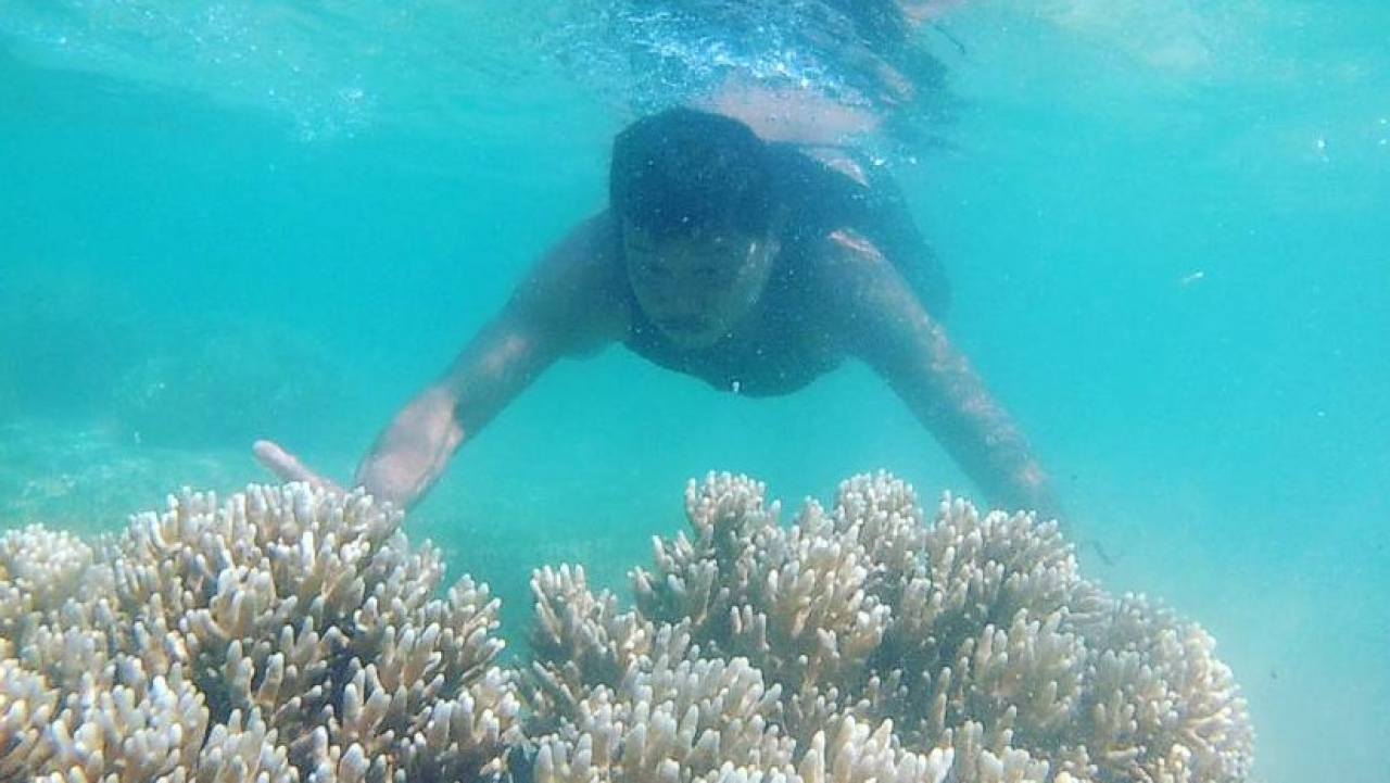 Taman Laut Batila