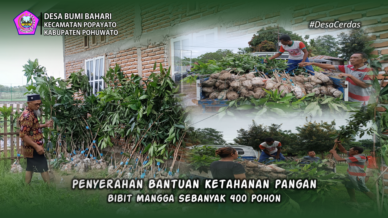 Wujudkan Program Ketahanan Pangan: Pemdes Bumi Bahari Salurkan 400 Pohon Bibit Mangga untuk Dukung Pertanian Lokal
