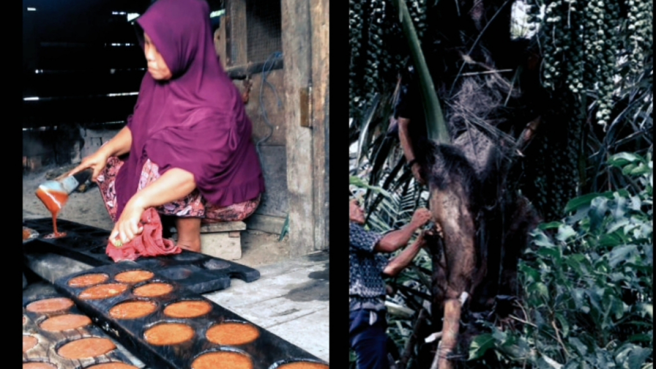 Gula Aren Tradisional
