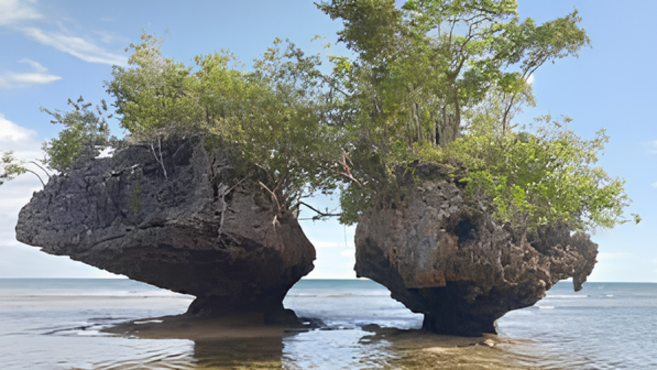 Pantai Dusun Rontojali