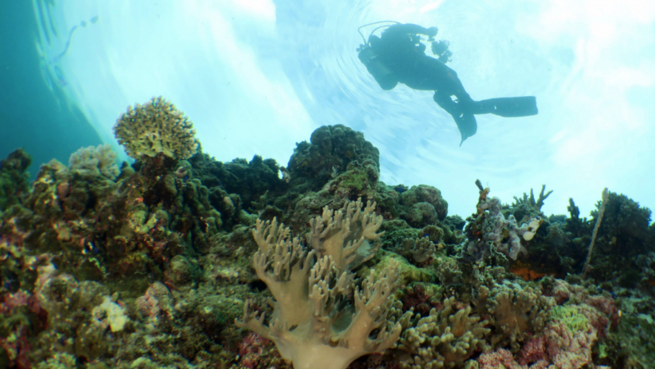 Pulau Karampuang