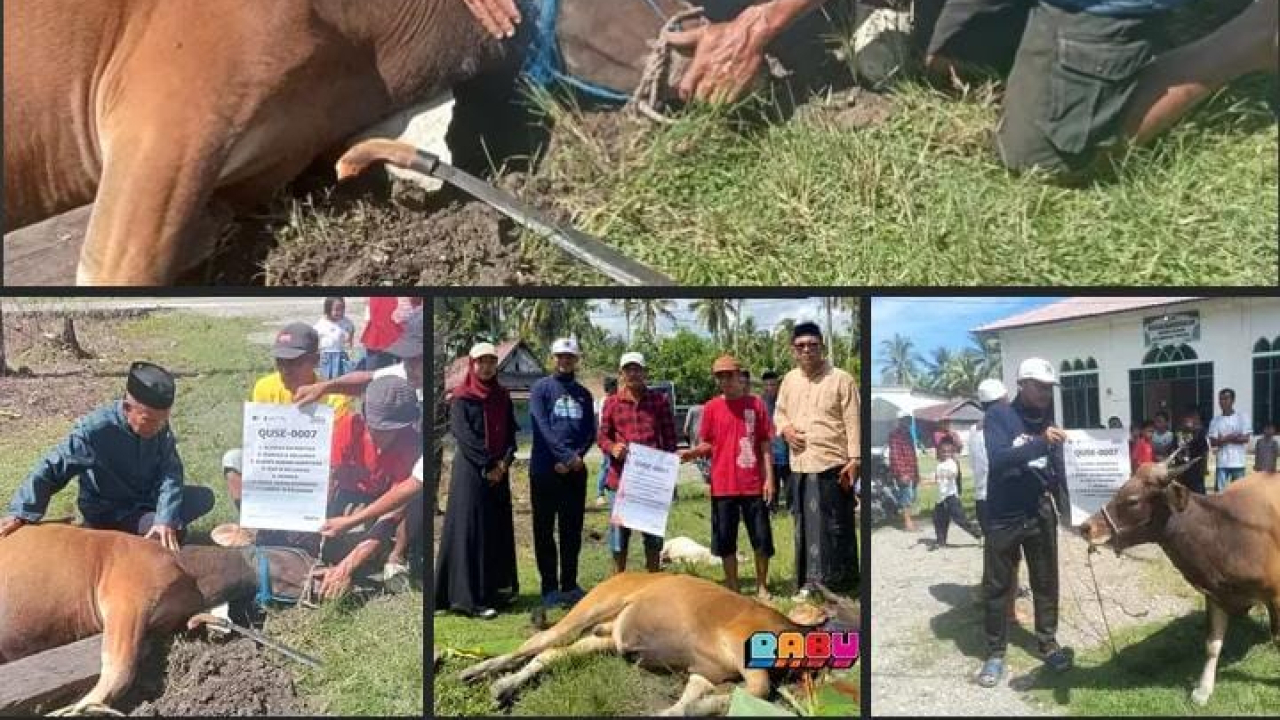 Tahun Ke 2 Pendamping Desa Cahaya Melakukan Program Qurban Dari Rumah Amal Salman
