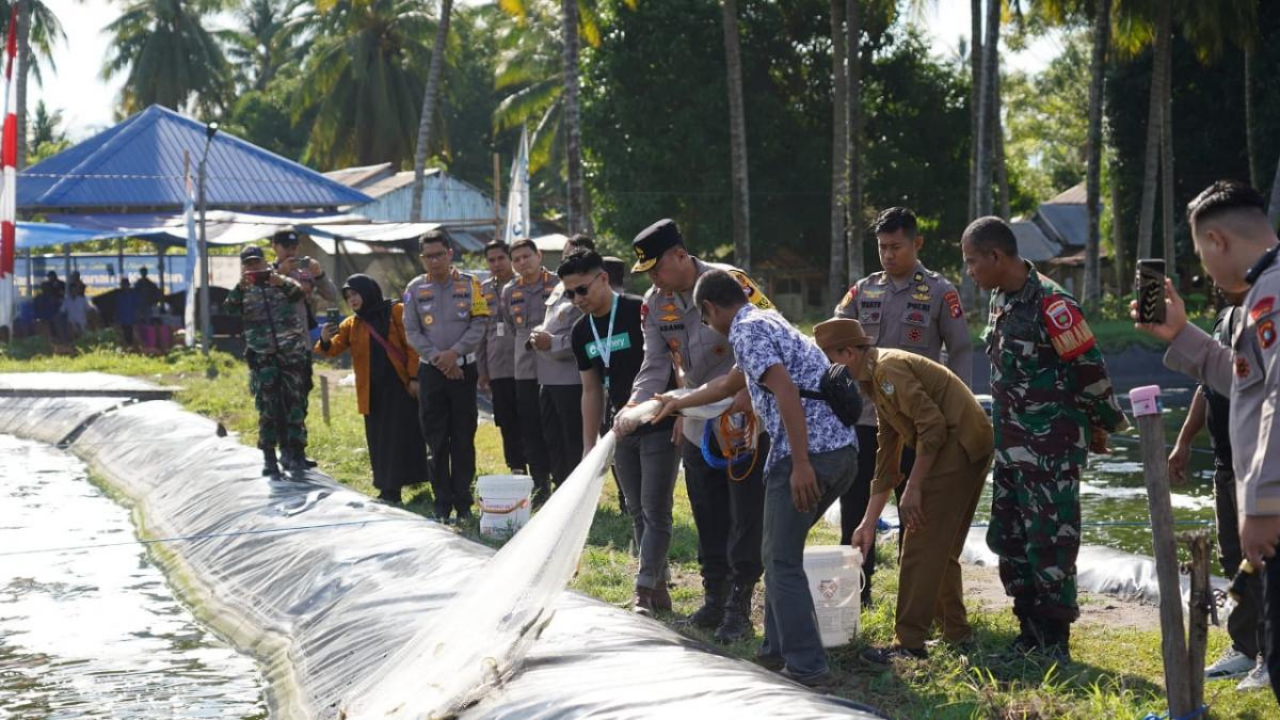 Panen Udang Tambak di Desa Bonda Papalang, Kapolda Sulbar Apresiasi Upaya Masyarakat Tingkatkan Ekonomi