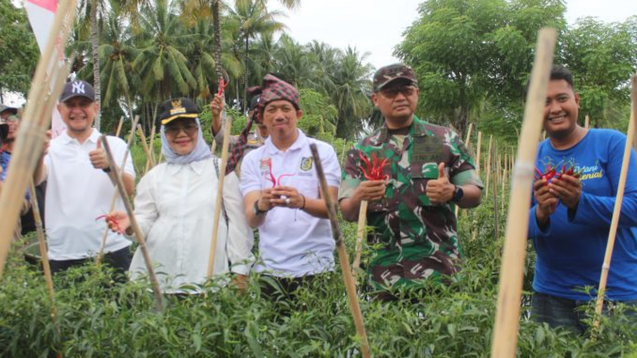 Wabup Mamuju Apresiasi Pesta Panen Dan Lomba Taxi Gabah Di Desa Bonda Dan Mengharapkan Jadi Event Tahunan